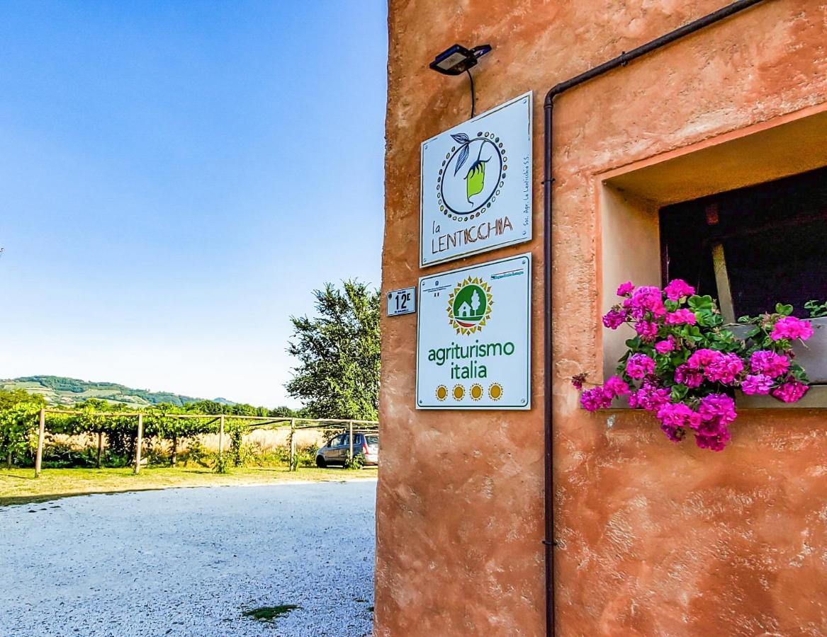 Agriturismo La Lenticchia 法塔特米 外观 照片