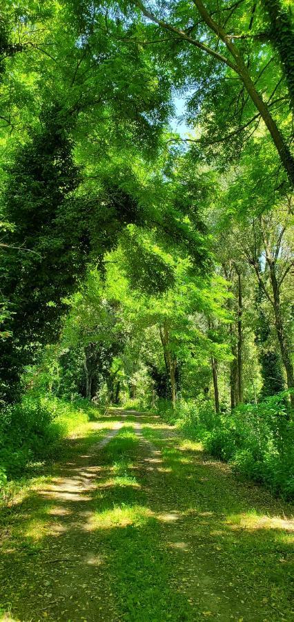 Agriturismo La Lenticchia 法塔特米 外观 照片