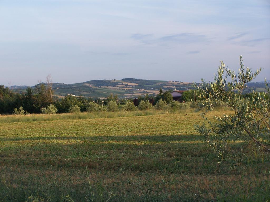 Agriturismo La Lenticchia 法塔特米 外观 照片