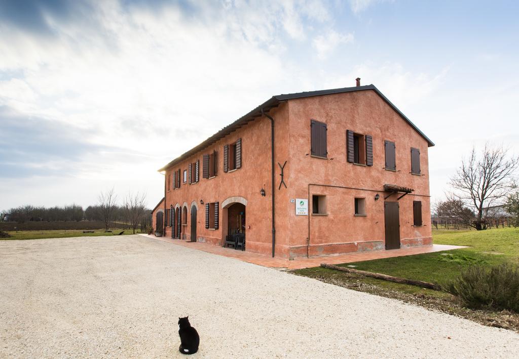 Agriturismo La Lenticchia 法塔特米 外观 照片